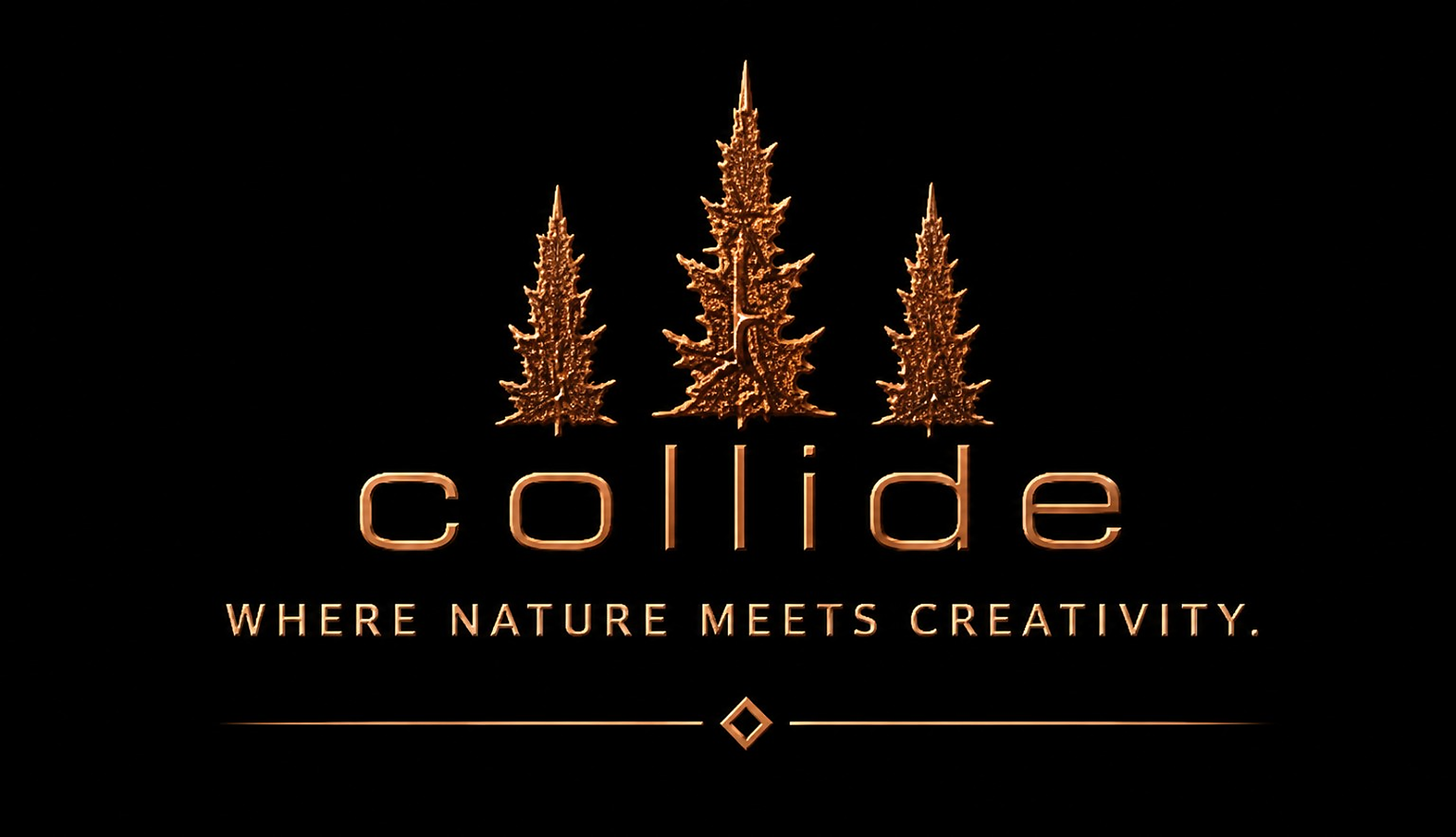 Collide — Where Nature Meets Creativity